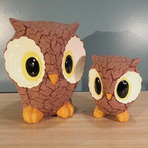 Cute Large Eyed Owls